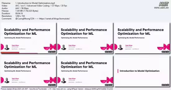 Scalability and Performance Optimization for ML