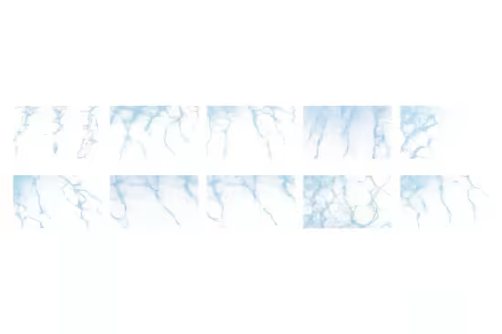 Water Surfaces Overlays - 6XR69VZ