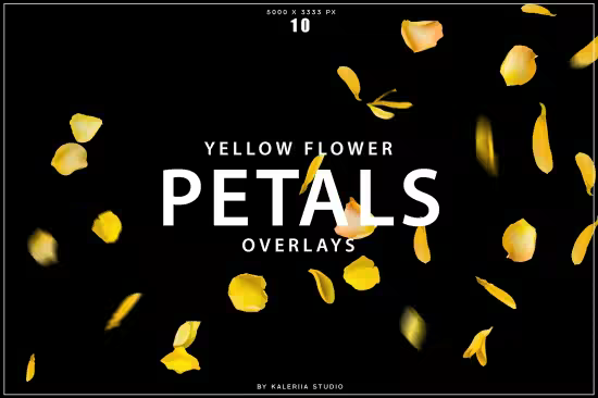 Yellow Flower Petals Overlays - DQBYVFQ