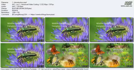 Wildlife Gardening - Create a thriving UK garden for nature