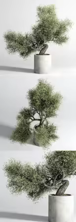 3dsky - Bonsai Tree pots and shrubs 76 concrete dirt vase for plant outdoor 3904201 - 3D Model