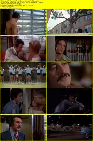 Pretty Maids All in a Row 1971 720p x264-Classics