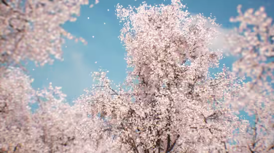Unreal Engine Marketplace - Sakura - Cherry blossom (5.2+)