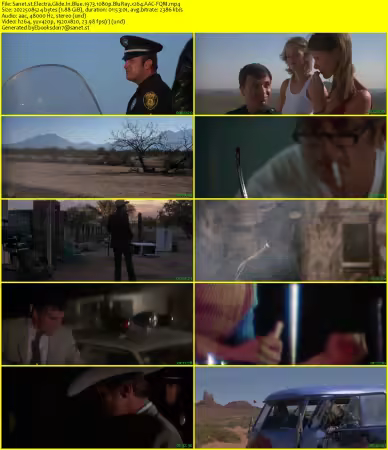 Electra Glide In Blue 1973 1080p BluRay x264 AAC-FQM