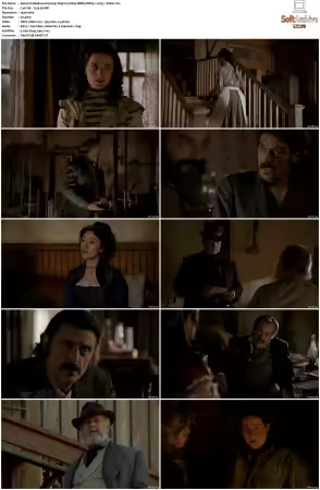 Deadwood 2004 S03 1080p BDRip DDP5.1 x265-Vialle