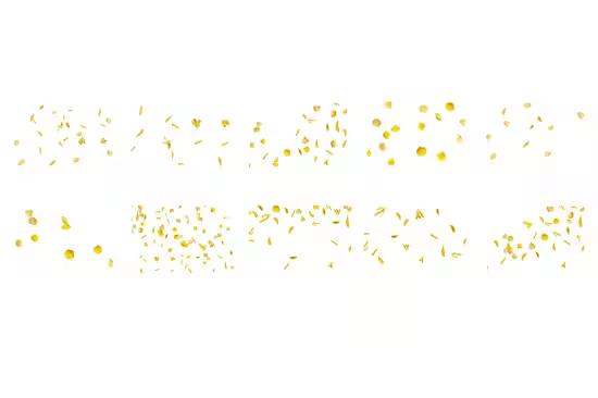 Yellow Flower Petals Overlays - DQBYVFQ