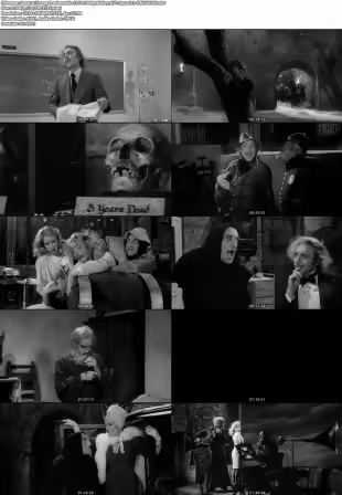 Young Frankenstein 1974 1080p BluRay AV1 Opus 5.1-SWAXXON