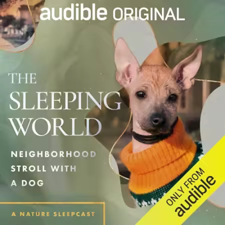 The Sleeping World: Neighborhood Stroll with a Dog[Audiobook]
