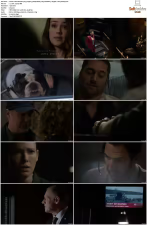 The Blacklist 2013 S05 1080p BluRay x265 DDP 5 1 - DarQ HONE