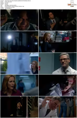 The X-Files S10 1080p Blu-ray REMUX AVC DTS-HD MA5.1-HDH