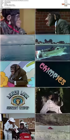 Lancelot Link Secret Chimp S01 NTSC DVDRip DD2 0 H264-BTN