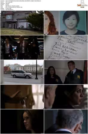 The Blacklist 2013 S02 1080p BluRay x265 SDR DDP 5 1 - DarQ HONE