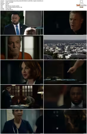 The Blacklist 2013 S10 1080p AMZN WEB-DL x265 SDR DDP 5 1 English - DarQ HONE
