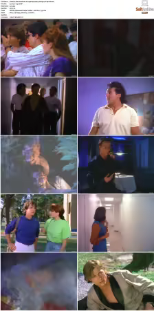 The Adventures Of Superboy S01 DVDRip XviD-SPRiNTER