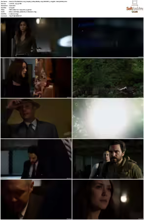 The Blacklist 2013 S04 1080p BluRay x265 SDR DDP 5 1 DarQ HONE