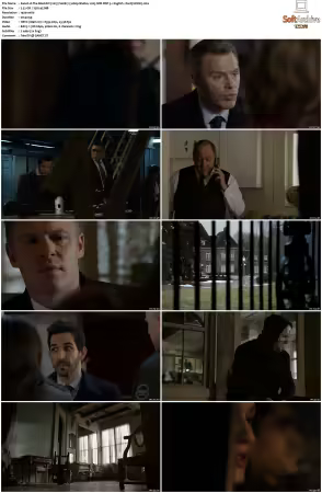 The Blacklist 2013 S06 1080p BluRay x265 SDR DDP 5 1 DarQ HONE