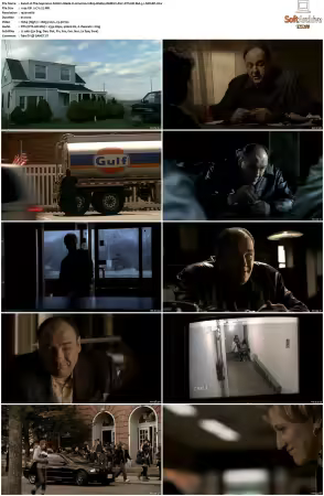 The Sopranos S06 1080p BluRay REMUX AVC DTS-HD MA 5.1-NOGRP