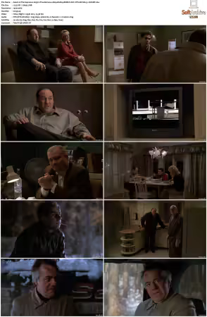 The Sopranos S03 1080p BluRay REMUX AVC DTS-HD MA 5.1-NOGRP
