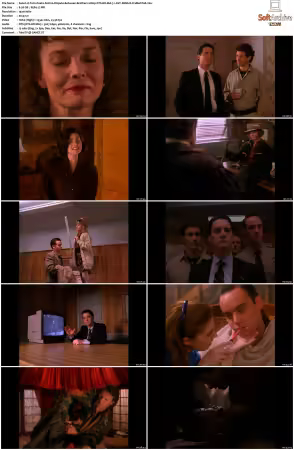 Twin Peaks S02 BluRay 1080p DTS-HD MA 71 AVC REMUX-FraMeSToR
