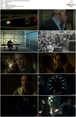 The X-Files S11 1080p Blu-ray REMUX AVC DTS-HD MA5.1-HDH
