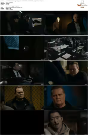 The Blacklist 2013 S10 1080p AMZN WEB-DL x265 SDR DDP 5 1 English - DarQ HONE
