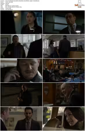 The Blacklist S08 1080p BluRay x265 SDR DDP 5 1 English - DarQ HONE