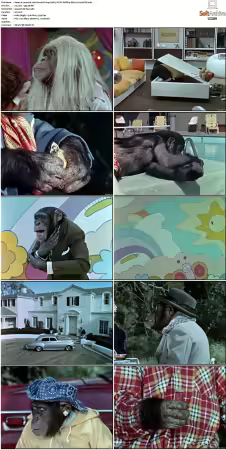Lancelot Link Secret Chimp S01 NTSC DVDRip DD2 0 H264-BTN