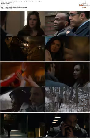 The Blacklist 2013 S06 1080p BluRay x265 SDR DDP 5 1 DarQ HONE