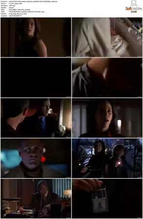 The X-Files S09 1080p Blu-ray REMUX AVC DTS-HD MA5.1-HDH