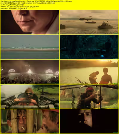Apocalypse Now 1979 Theatrical REMASTERED 1080p BluRay x264 AAC 5.1-88