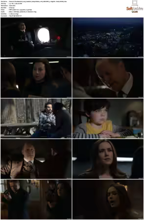 The Blacklist 2013 S06 1080p BluRay x265 SDR DDP 5 1 DarQ HONE