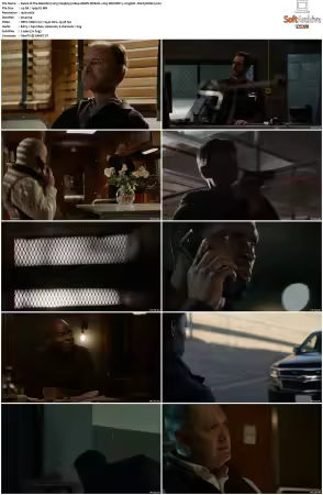 The Blacklist 2013 S09 1080p AMZN WEB-DL x265 SDR DDP 5.1 DarQ HONE