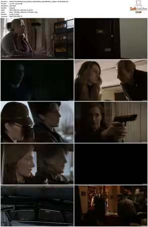 The Blacklist 2013 S06 1080p BluRay x265 SDR DDP 5 1 DarQ HONE