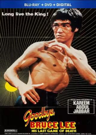 Goodbye Bruce Lee His Last Game of Death 1975 1080p Bluray Remux AVC DTS-HD MA 2.0-demonen