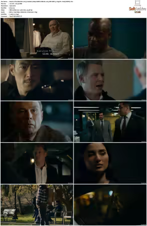 The Blacklist 2013 S10 1080p AMZN WEB-DL x265 SDR DDP 5 1 English - DarQ HONE
