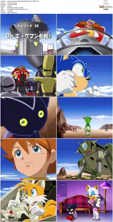 Sonic X 2003 S03 JAPANESE 480p BluRay DD5.1 AVC REMUX