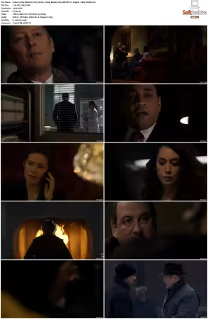 The Blacklist 2013 S02 1080p BluRay x265 SDR DDP 5 1 - DarQ HONE