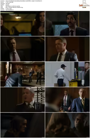 The Blacklist 2013 S06 1080p BluRay x265 SDR DDP 5 1 DarQ HONE