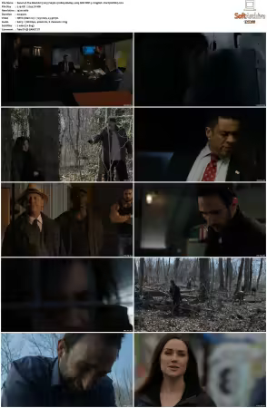 The Blacklist 2013 S05 1080p BluRay x265 DDP 5 1 - DarQ HONE