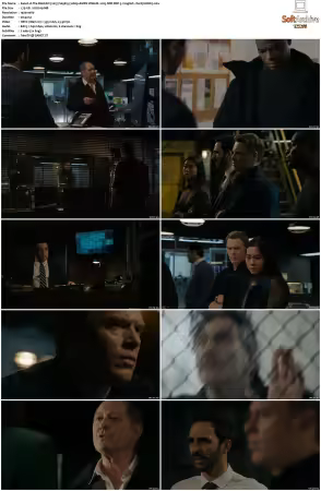 The Blacklist 2013 S09 1080p AMZN WEB-DL x265 SDR DDP 5.1 DarQ HONE