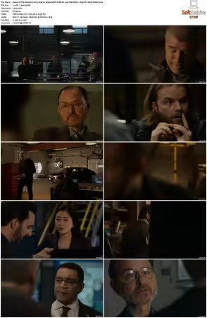 The Blacklist 2013 S09 1080p AMZN WEB-DL x265 SDR DDP 5.1 DarQ HONE