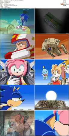 Sonic X 2003 S01 JAPANESE 480p BluRay DD5.1 AVC REMUX