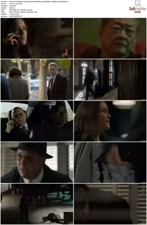 The Blacklist 2013 S07 1080p BluRay x265 SDR DDP 5 1 DarQ HONE
