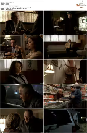 The Sopranos S06 1080p BluRay REMUX AVC DTS-HD MA 5.1-NOGRP
