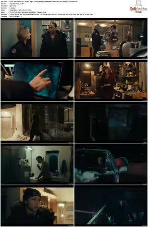 True Detective S04 1080p BluRay REMUX AVC DTS-HD MA 5.1-TRiToN
