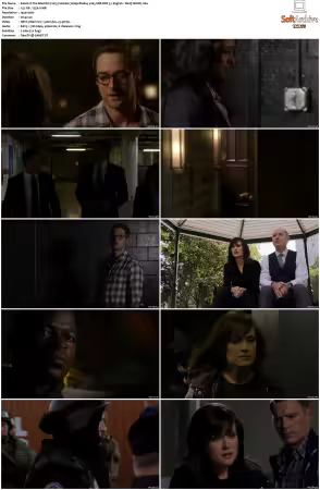 The Blacklist S01 1080p BluRay x265 SDR DDP 5 1 - DarQ HONE