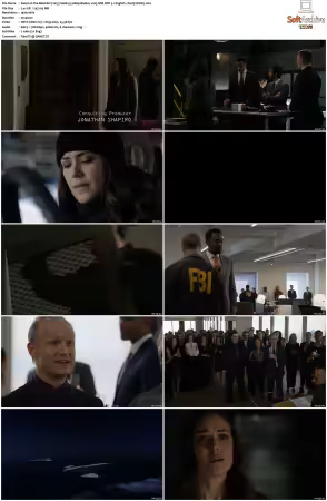 The Blacklist 2013 S06 1080p BluRay x265 SDR DDP 5 1 DarQ HONE