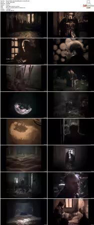 Stalker 1979 1080p BRRip AAC2.0 h264-XBiTs