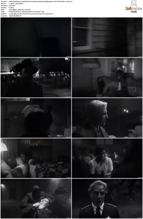 Watchmen S01 1080p BluRay Remux AVC DTS-HD MA 5.1-PmP