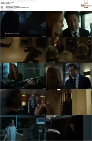 The X-Files S11 1080p Blu-ray REMUX AVC DTS-HD MA5.1-HDH
